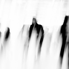 dissoulvi (ex. n1ghtcxtchr)