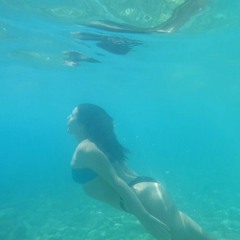 Blue Bird