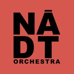 Nādt Orchestra