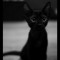 Bad_dreams_905