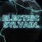 Electric Sylvain
