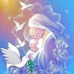 Eman H-nawar