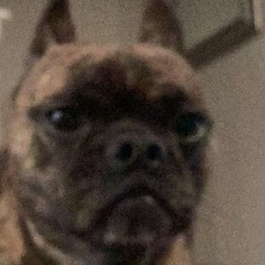 sup