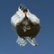 Olen Blackbird