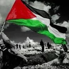 Kareem Abo Amar