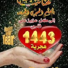 احمد صابر صابر