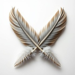 Cross Feather Records
