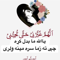 AmirAfghan🏳️