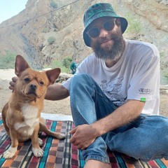 Vahid Shoghi