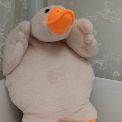 goose