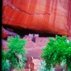 Antonio Carroll Navajo Artists Canyon De Chelly