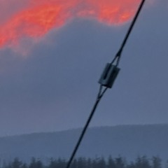 Agreeable to the ear