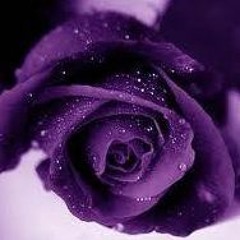 وردة البنفسج