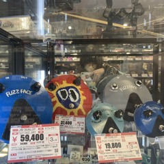 戸ダミヒロ