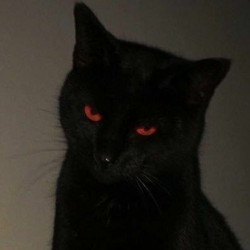 Deus Ex Machina’s avatar