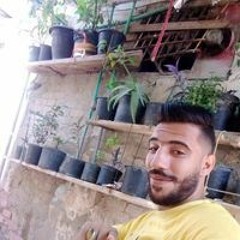طارق عامر