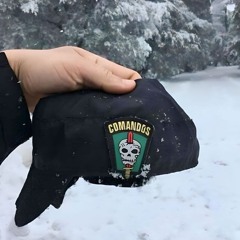 Comandos