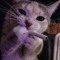 facee_w11