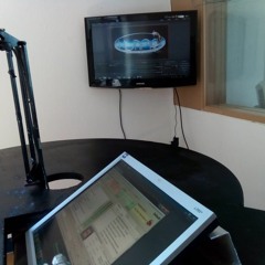 Lunacy Radio Station