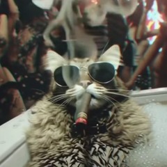 JJeZxLYzYaz12000JazzCUZZCcTvcvdspxxxy