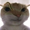 옐
