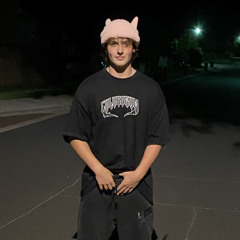 stizzybingus