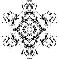 AGILITÄT✲