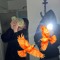 Orange Crow