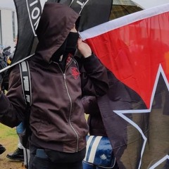 anarcho_kitsune