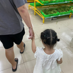 Trần Gia Hoàng