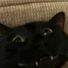 DCat.hg