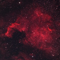 Taurus Sapien