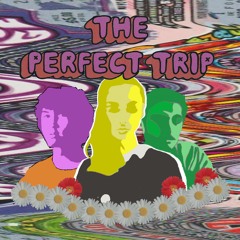 The Perfect Trip