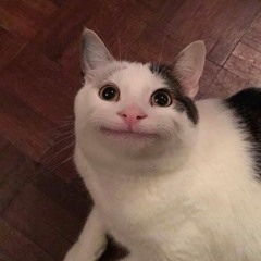 garfildi.im