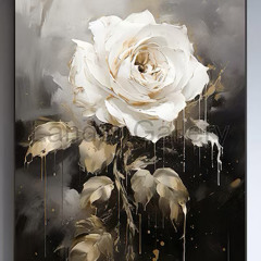 Vahid pn