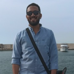 Abdelrahman E. Gazzarin