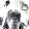 DimPer