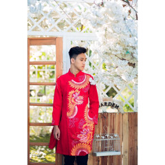 Võ Thanh Bình