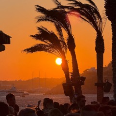 Background Chill Music 🌴 Relaxing Instrumental Vibes ☀️ Cafe & Restaurant Lounge