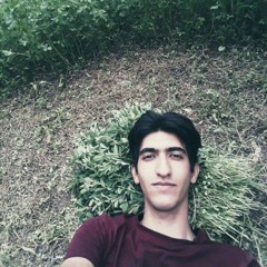 mohammad feyzi