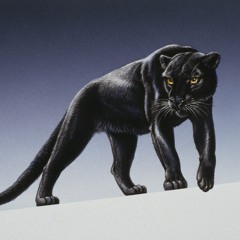 Perfect Panther
