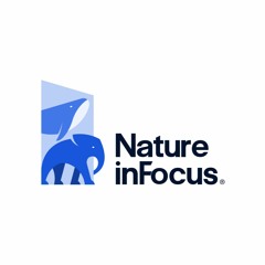 naturein_focus