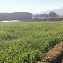 zaibdawar786@gmail.com