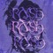 RaSH_deep