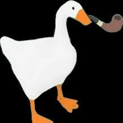 KamiGoose
