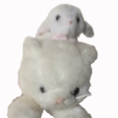 死願者