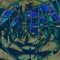 Gaap