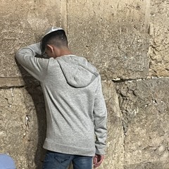 אליה עמאר