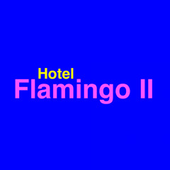Hotel Flamingo Ⅱ
