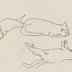 ◌  ׄ ۪  🥛̷  ࣪  𓈒 ♡͡   America  ࣪  ◌  ׄ ۪ ﹗